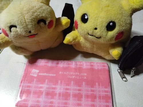 よっ、蘭だぜ。
ふわもこSNS始めたからよろしくな！