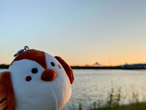 海っす