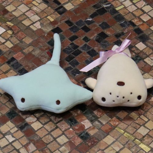 エイの えぴ と アザラシの ごぴ。
ときどき他のなかま。
えぴごぴはぜんぶで17ひき いるよ。