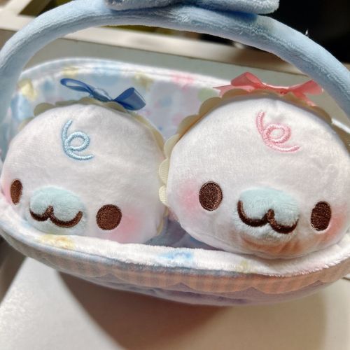 あたらしい 家族が増えました!
べびゴマちゃんたち です🍼
