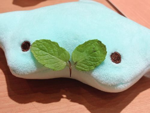 🌱🍴