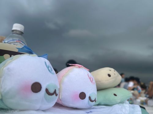ｰ絶望の空ｰ
花火大会場にいたけど中止になっちゃった…
むーすとすふれは初めてのお出かけでした😢