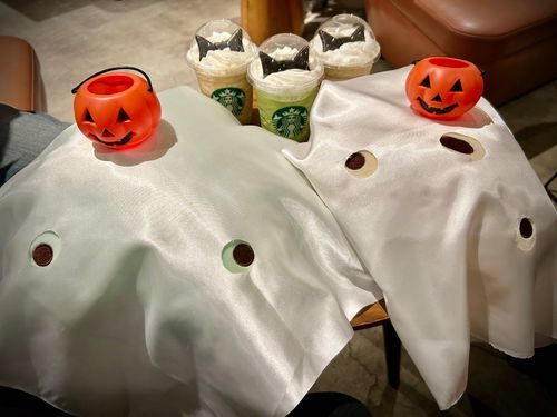 🎃Happy Halloween👻
えぴとごぴもおばけになって大はしゃぎ!