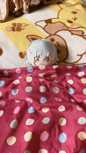 あるじのねどこをせんりょうちゅうだ