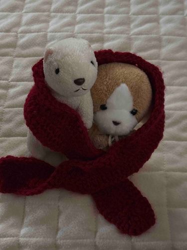 あったかいね🧣