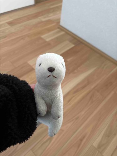 新しいお家だよ~🏠