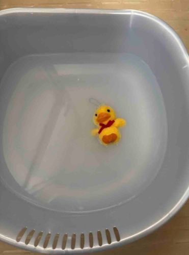 ﾋﾟﾖﾋﾟﾖﾋﾟｰ🐥⸒⸒