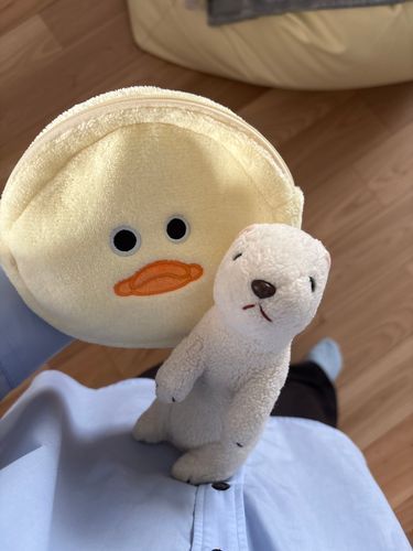 帰省したよ〜🏡⋆*
これはもらったポーチ🐥⸒⸒