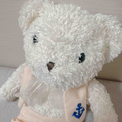 ごしゅじんのあたらしいおしごとばは、みんなべてらんで優しそうだったらしいよ！
でもあしたからだからとっても緊張してるんだって💦
ぼくもかばんにはいって、ついていこうかな？🧸