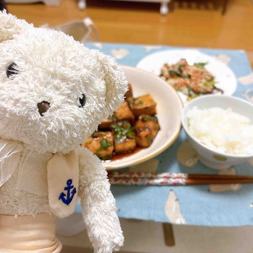 はつしゅっきんおわりー！
ばんごはんは厚あげのうめしそソースがけと、ほうれんそうのしらあえだって！🥬
