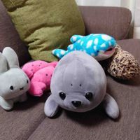 らいか家のいきものたち