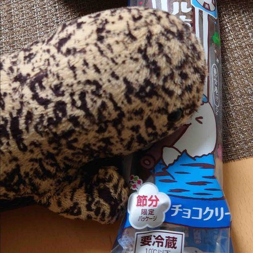 【まーさん】
京都出身のオオサンショウウオ
飼い主の実家ではマーブルチョコフランスパンと呼ばれていた
寝ることが大好き
チョコに狂っている

まーさん「チョコ毎日食べたいマ」