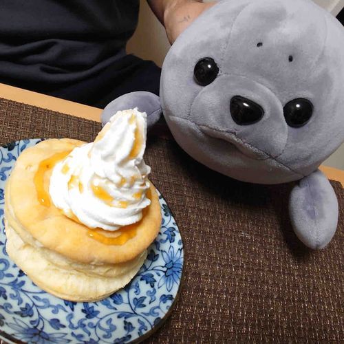 【こまちゃん】
江ノ島出身のアザラシ
自分の可愛さで交渉を優位にしていくタイプ
飼い主の旦那が正式な飼い主
パンケーキとクレープをこよなく愛する

こまちゃん「こま明日の朝ごはんはパンケーキがいいと思うコマ！」