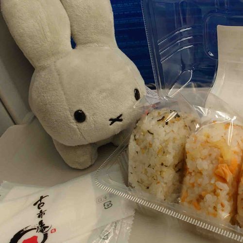 【USA（うさちゃん）】
名古屋出身のウサギ
元気が有り余っており辺りをよく飛び跳ねている
フルーツが好きだが好きすぎてヘヴン状態になってしまう
ジャンクフードも好き

うさちゃん「ピザとコーラ最高ウサ」
