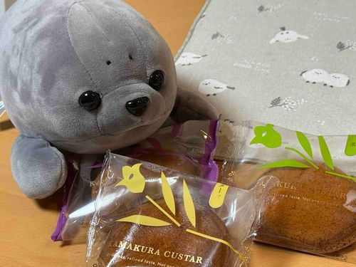 飼い主たちがお土産でもらってきたコマ！
カスタードと抹茶と紅茶、全部おいしかったコマ！また食べたいコマ！