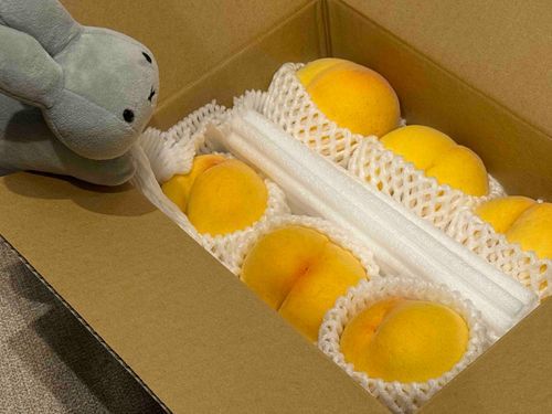 ダンナが桃買ってくれたウサ！
早く食べたいウサ〜〜〜！