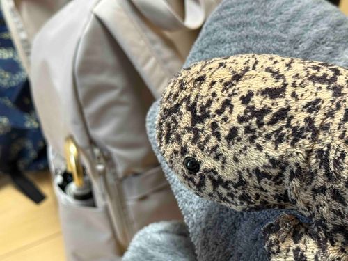 飼い主が長期入院から帰ってきたマ
まだしんどそうだけど久しぶりのおうちで嬉しそうだし、まー達も嬉しいマ
