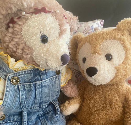 こんにちは、くま太郎ままです🧸
今日は新しい子やっと綺麗になったのでお披露目します！
この子は某中古ショップの訳ありコーナーにいました、何が訳ありかと言うと…タグに名前が書いてあります😅
最初見た時はびっくりしましたが中古なら有り得るか🤔と思う私🤣
しかも、かなり可愛がって貰っていたのか所々傷だらけ…。名前も傷もあるのにと思う私、何だか悲しそうにしておりぬいぐるみなんだからと言われちゃうかもですがほっとけずにお迎え（私んちには訳ありの子いますし！）
でも、瞳に光を感じない…。今も昔のお家を思っているのかなとプリンちゃんと話しました…。
今は受け入れられないかもだけどゆっくり私っちに慣れて欲しいです！！
名前はゆっくり考え中🤭


🧸🍮「あたらしコ おトモダチ うれしい」