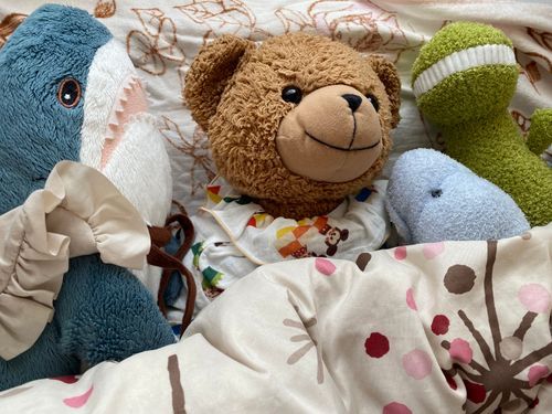 🧸「こんにちは！くま太郎🧸としゃけくんと🦈リュッくん🦖とニシシ🦖😁なの！
だんだん、にゅういんびがちかづいてきたの…。ままもこわくてまいにちねぶそく(:3_ヽ)_
ふあんにおしつぶされそうなんだってー」

🦈「やっほー、さいきんままさんのまくらになっているしゃけだよ。ままさんはにゅういんのしたくしながらいろいろとかんがえているんだってー」

🦖😁「ニシシだぞ！ままさんにゅういんするのか😳💦でも、いたいことおわったらたのしいことだらけ…だよな？」