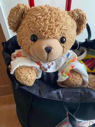 🧸「おはようございます！くま太郎なの🧸
ついにままがにゅういんするひ！！ドキドキしちゃうってはなしたまま、きのうはたいちょうくずしちゃったりとトラブル😵‍💫💦
でも、あさになったらかくごをきめてがんばりますってはなしていたの！
しゅじゅつはごごからだけどはやめにきてくださいっていわれたからさいしゅうてんけんしたの！
がんばってくるねー！！またしゅじゅつおわったらおしらせしますの😌💕」