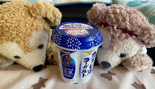 こんにちはー。くま太郎ままとプリンちゃん🧸🍮と新しい子です。

昨日は沢山の応援ありがとうございました。無事にまま退院出来たのでお家に帰ってこれました。
前日にちゃんと説明をしましたがプリンちゃんは大号泣してお迎え😭
皆、私を見つけては抱きついて来てくれたからままポカポカになりました🤣

お腹すいたからヨーグルト食べましたー。今、話題のやつ😳✨
食感面白かったです！！味は蜂蜜ないと私には無理でした😅

🧸🍮「ままとたべた  おいしかた」