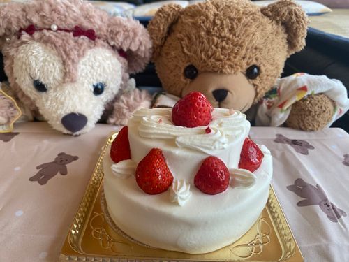 🧸「こんにちは、くま太郎なの🧸
きのう、ぼくのたんじょうびケーキたべたのよ🎂
プリンちゃんがたべたいっていったからいっしょにたべたの～💕💕
このケーキ、きょねんもたべたけどおいしかったの😳💕
またたべたいかららいねんのおたのしみ～😋」

🧸🍮「こんちゃ！ぷりん よ ににのけき たべた あまあま おいしかた☺️💕」