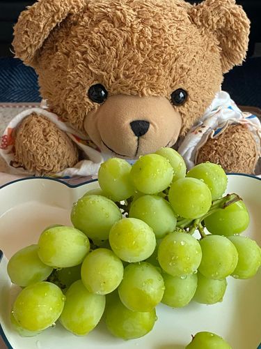 🧸「こんにちはー！くま太郎なの🧸
ことしはつ！シャインマスカットたべたの😋🍇
これね、やすくてままのままにたのんだらいいよ～っていってもらえたの🥹✨
もぐもぐしたらおいしかったの😳🩷
たねなしでかわごとたべれるからおいしかったー！！😆

またうっていたらたべたいの😋💕」
