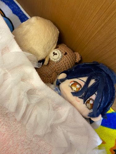 明日、初めてお出かけしてワクワクしちゃうチトセさんともう眠いから寝ちゃうあいらちゃん。

こんばんは、新米プロデューサーくま太郎ままです。
明日はお迎えしたかった子達をお迎えに行く日、今何しているのかなーっと考えてしまいます。
居てくれたらいいな。また明日、お迎え出来たらお写真載せますね☺️