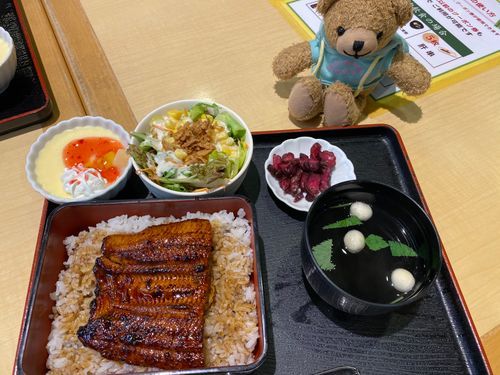 🧸「こんにちは！ミニくま太郎なの🧸
きのう、しまむらいったあとにきんようびにたいいんしてからはじめてのびょういんいくからきあいいれるためにままのままといっしょにうなぎたべたのϵ( 'Θ' )϶
じつはままはうなぎにがて🤣ほねがね～っていいながらもたべていたの😅

あしたどうなるかわからないけどきあいいれてがんばるのよー！！♡💪( ´˘`💪)」