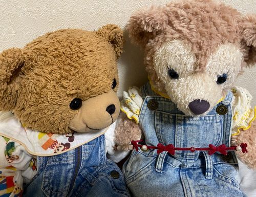 🧸「きんきゅうじたいなの😳💦
こんばんは！くま太郎なの🧸🌙*ﾟ
きょうはハロウィン！！とおもったんだけどままがびょういんつづきだったからよういできてなくことしはおかしをたべてすごしますの😌

ハロウィンはできないけどおかしよういしてみんなでたべよーってままがよういしていたら「あー！！！😭」ってプリンちゃんがないていたからいそいでむかうとプリンちゃんのたからもののカチューシャが😱💦
まんなかのパールとれているの！😭
プリンちゃんショックでないちゃったの、ままがあたらしいのかう？ってきいたけど「これじゃなくちゃいや！」って😭
なんとかおなじパールのぶひんないかな？🤔💦💦」