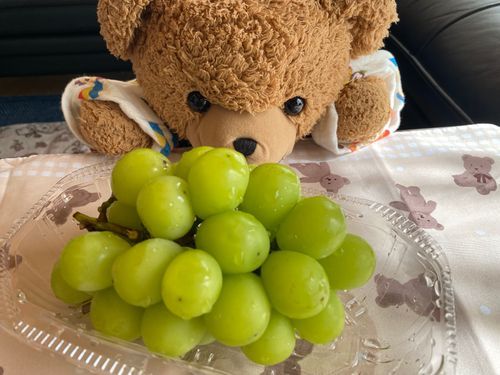 🧸「こんにちは！くま太郎なの🧸
もうことしなんかいめ！？🤣ってくらいのシャインマスカットをまたたべましたの～🍇💕
ぼくたちやすくなっているとすぐにかっちゃうんだよね。もうなんこたべたの😂

すうこたべたからわかったけど、そのおみせによってやっぱりあじがちがうね´˘`) -ᴗ-)‎ｳﾝｳﾝ
きょうのはいちばんおいしかった！！💕
またたべたいな～🤤💕」