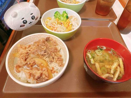 つゆだくにしたのに全然つゆないと見た目でわかってしまったちいかわ