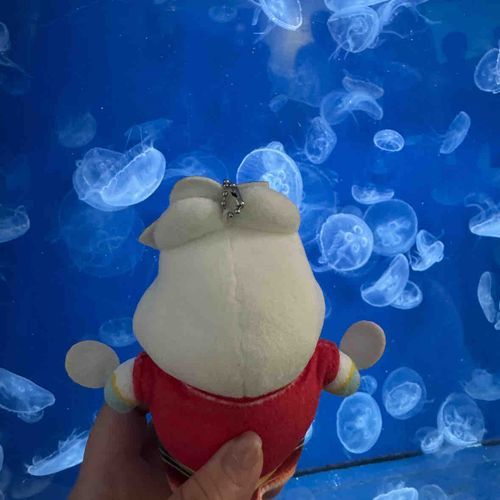 クラゲさんちゃむ〜🪼
気持ちよさそうに泳いでるちゃむね〜😘