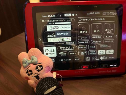 久々にカラオケに行きまちたよ〜🎤
フリータイムでオンパレードでちたので喉痛いでちゅが楽しかったでちゅ😇✌