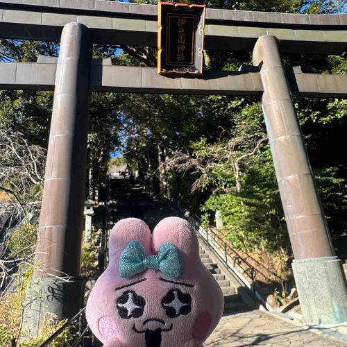 4日になりましたがあけましておめでとうございまちゅ🧧🎍🍊🎍🧧
今年も色んなぬい達とお出かけして行きたいと思います🐎
今年もよろしくお願いしまちゅ🩷