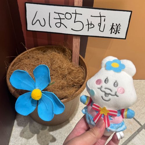可哀想に！デパートへ行ってきたちゃむよ〜✌
これはお祝いお花ちゃむね🌼
