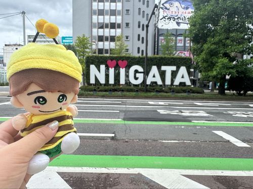 和也に会いに新潟来ました💚