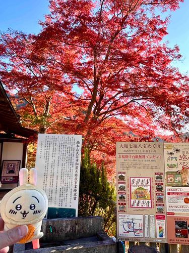 長谷寺に行きました