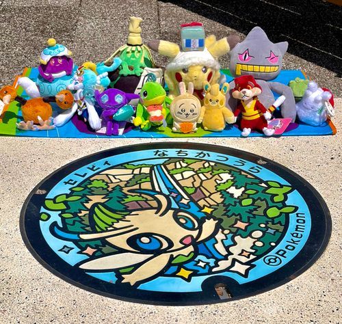 ポケふたがありました