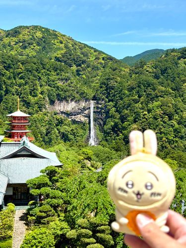 境内から那智の滝が見えました
