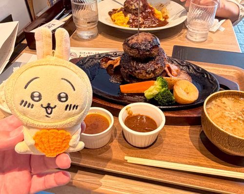 ハンバーグをいただきました