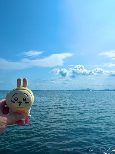 琵琶湖に行きました