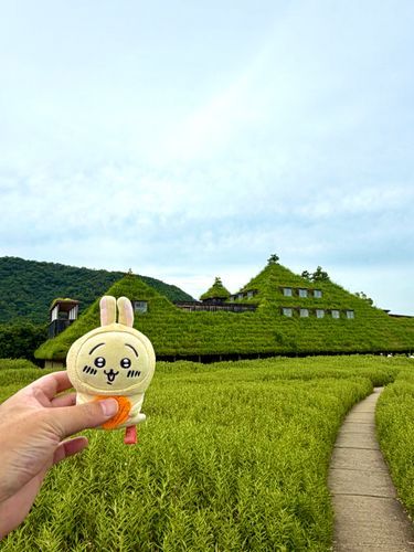 ラコリーナ近江八幡に行きました