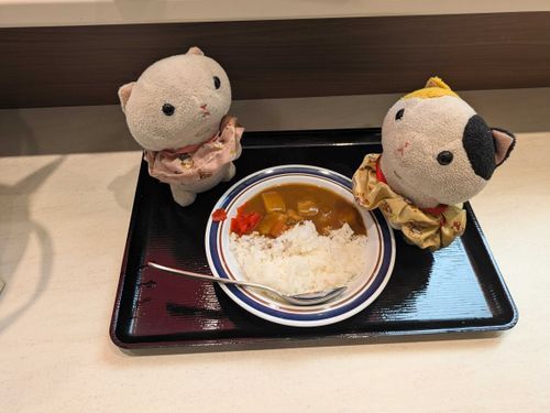 今日のお昼ご飯