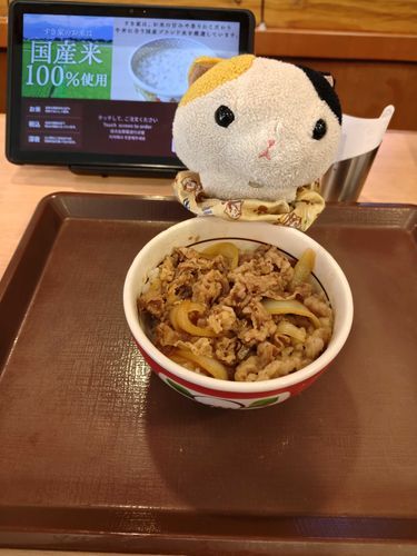 今日のお昼ご飯
牛丼