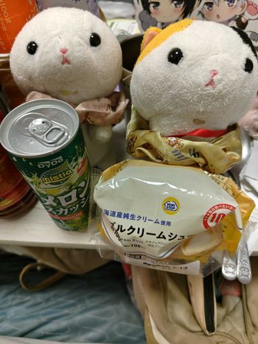 ナナ＆ズー🎉- ̗̀ ℍ𝕒𝕡𝕡𝕪𝕓𝕚𝕣𝕥𝕙𝕕𝕒𝕪🎉