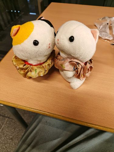 待ち時間じゃれあう2人