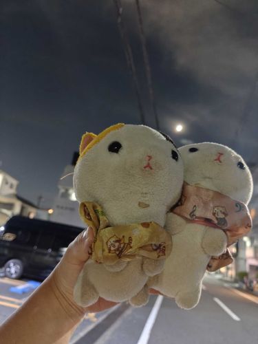 月見の季節が来る