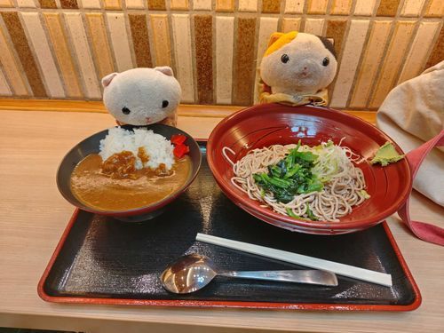 今日の夜ご飯
