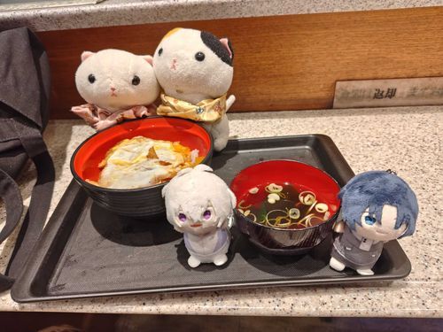 今日の夜ご飯